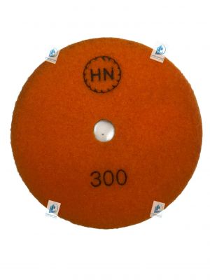 Lá số HN 300 (Lớn)