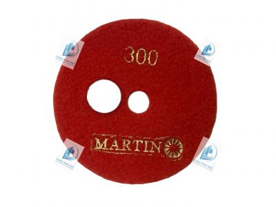 Lá Số MARTIN 300