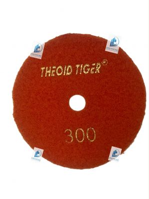 Lá số THEOID TIGER 300