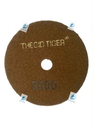 Lá số THEOID TIGER 3000